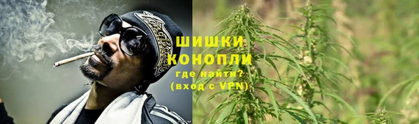 прущие крисы Белокуриха