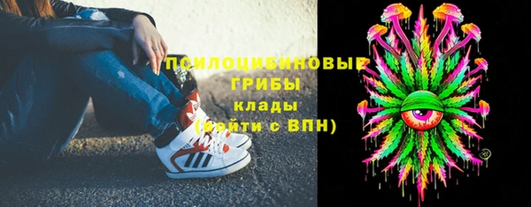 прущие крисы Белокуриха