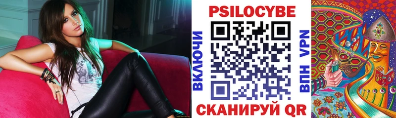 Галлюциногенные грибы Cubensis  Богданович 